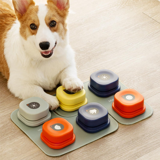 Easy-Use Voice Recording Dog Buttons - Train, Talk, & Play!