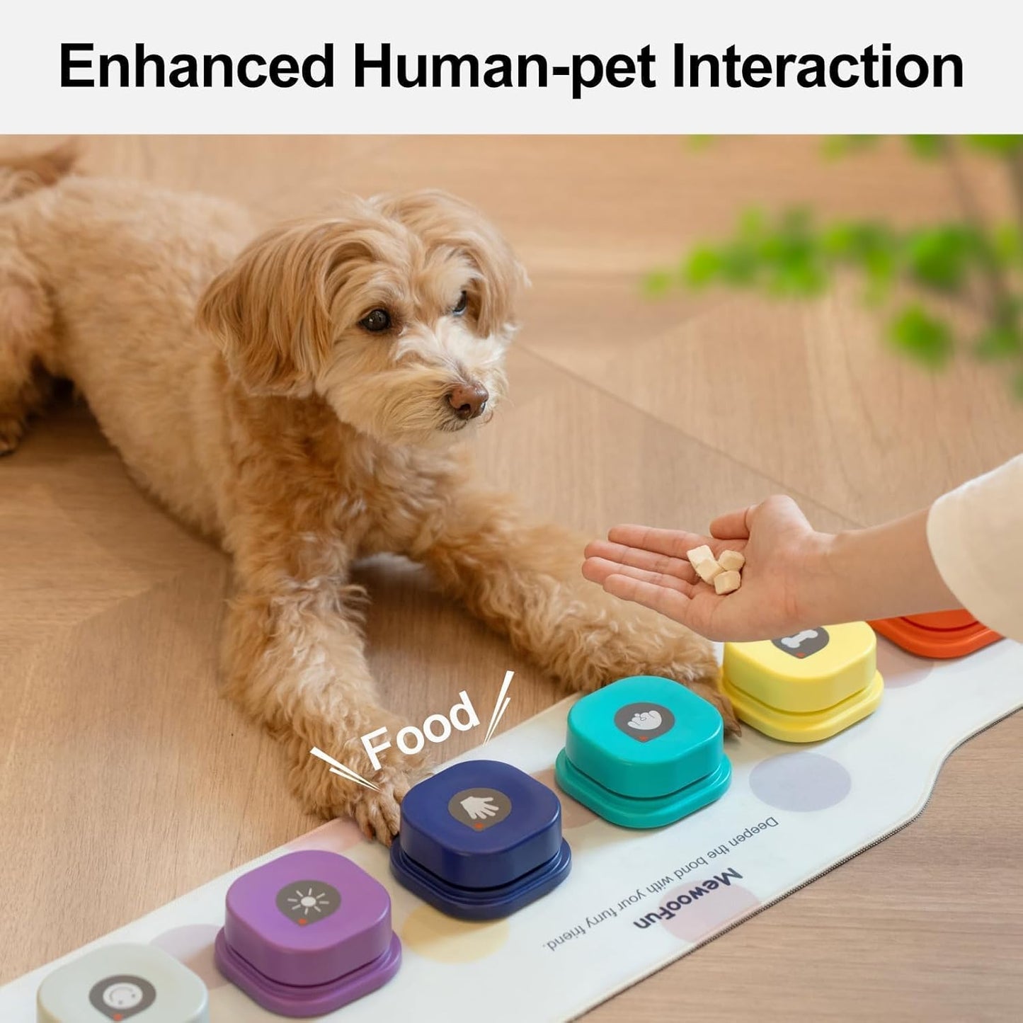 Voice Recording Pet Buttons - Communicate & Train with Ease