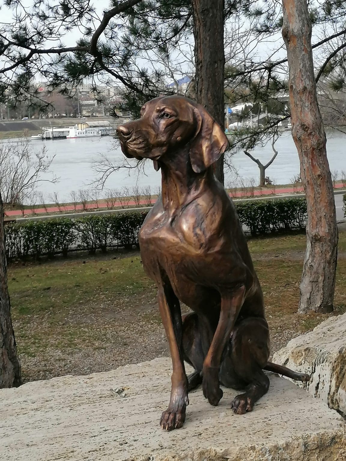 Limited Edition Bronze Hungarian Vizsla Dog Sculpture - Realistic Outdoor Pet Art