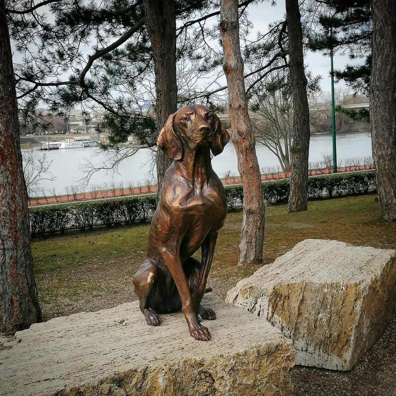 Limited Edition Bronze Hungarian Vizsla Dog Sculpture - Realistic Outdoor Pet Art