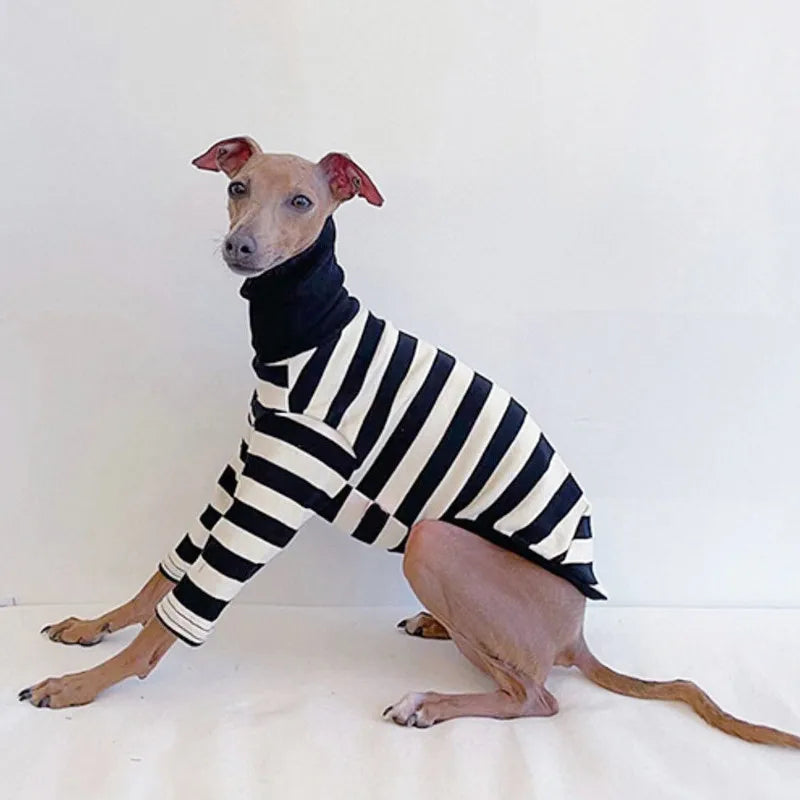 Stylish Black & White Striped Dog Shirt - Perfect for Spring & Summer