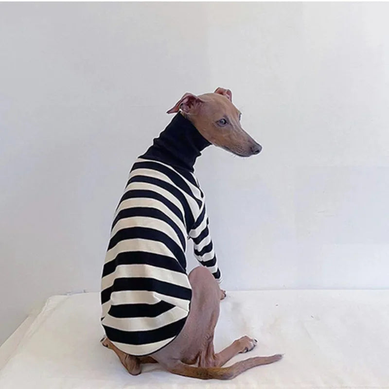 Stylish Black & White Striped Dog Shirt - Perfect for Spring & Summer