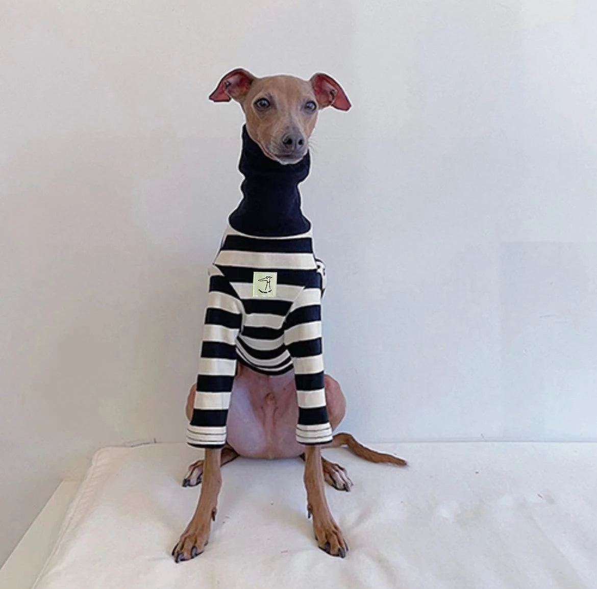 Stylish Black & White Striped Dog Shirt - Perfect for Spring & Summer